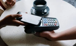 alanyi adómentesség