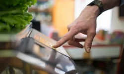 alanyi adómentesség